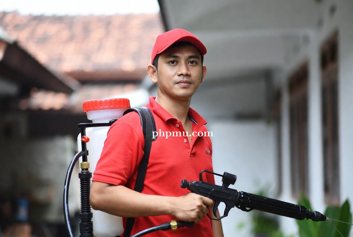 Jasa Basmi Rayap Tanpa Bongkar Bangunan