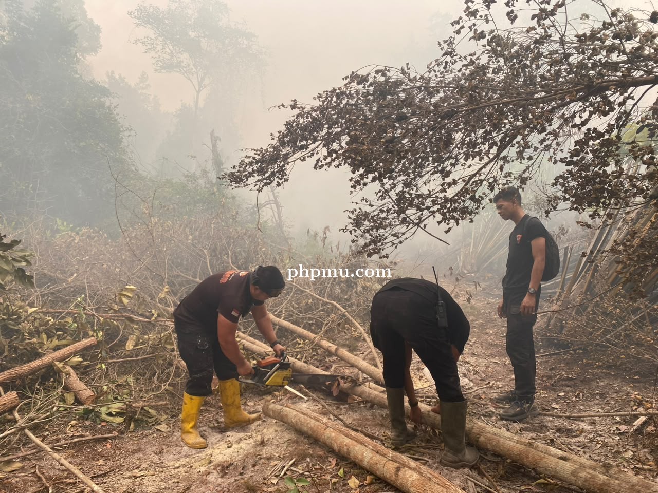 Satbrimob Polda Kalteng Padamkan Api Sekaligus Buka Akses Jalan di Km 36 Tjilik Riwut